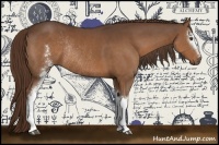 Horse Color:White Spotted Liver Chestnut Rabicano 