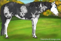 Horse Color:Black Ice Splash 