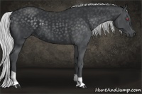 Horse Color:Silver Black Chinchilla