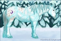 Horse Color:Thunderstruck Buckskin Ice Splash Appaloosa Rabicano