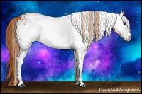 Horse Color:White Spotted Chestnut