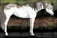 Horse Color:White Spotted Liver Chestnut Sabino Splash Frame 