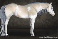 Horse Color:Watercolor Buckskin Roan Onyx Splash 