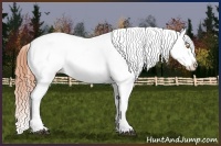 Horse Color:Buckskin Dun Appaloosa