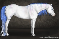 Horse Color:Watercolor Buckskin Ice Roan Onyx Splash