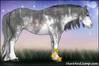 Horse Color:Brown Ice Sabino