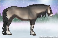 Horse Color:Blue Onyx 