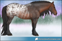 Horse Color:Brown Ice Rabicano
