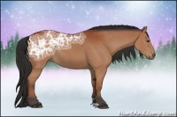 Horse Color:Bay Ice Rabicano 