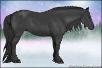 Horse Color:Black Rabicano 
