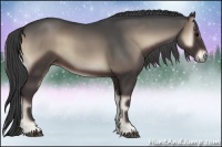 Horse Color:Smoky Blue Onyx
