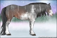 Horse Color:Brown Ice Sabino