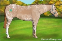 Horse Color:Chestnut Ice 