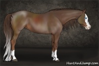 Horse Color:Liver Chestnut Sabino Splash