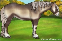 Horse Color:Silver Blue Onyx 