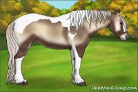 Horse Color:Silver Blue Onyx Tobiano
