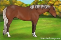 Horse Color:Silver Bay 