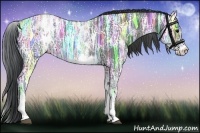 Horse Color:White Spotted Black Ice 