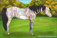 Horse Color:Bay Ice Sabino Frame 