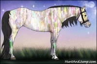 Horse Color:Buckskin Ice 