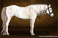 Horse Color:Palomino Ice