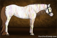 Horse Color:Bay Ice Pearl