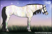 Horse Color:Bay Ice Dun 