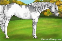 Horse Color:White Spotted Silver Blue Onyx Chinchilla Ice 