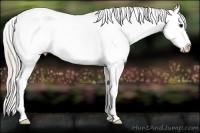 Horse Color:Silver Black Blanket 