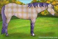 Horse Color:Watercolor Plaid  Buckskin 