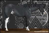 Horse Color:Black Sabino 