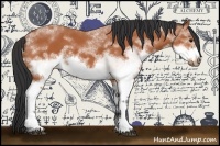 Horse Color:White Spotted Bay Frame 