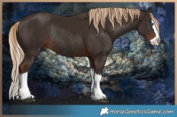 Horse Color:Liver Chestnut Splash Rabicano