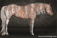 Horse Color:Silver Bay Ice 