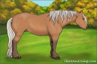 Horse Color:Silver Bay