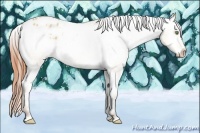 Horse Color:Amber Champagne Dun Varnish Rabicano 