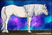 Horse Color:Cremello 