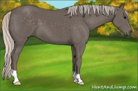 Horse Color:Silver Black 