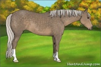 Horse Color:Silver Smoky Black 