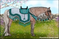 Horse Color:Silver Bay Appaloosa 