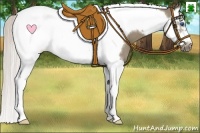 Horse Color:Silver Grullo Splash Tobiano Frame