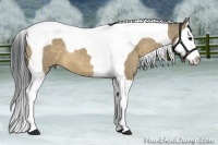 Horse Color:Brown Dun Splash Tobiano 