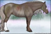 Horse Color:Silver Black Rabicano 