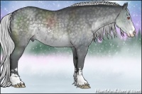 Horse Color:Silver Black Chinchilla Sabino 