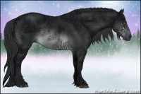 Horse Color:Brown Chinchilla Ice Sabino 