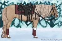 Horse Color:Palomino Roan 