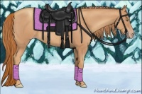 Horse Color:Gold Champagne Roan