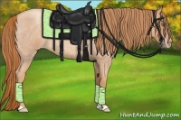 Horse Color:Gold Champagne Roan 