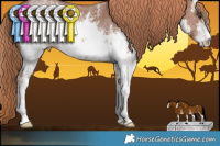 Horse Color:White Spotted Chestnut Sabino
