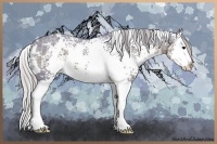 Horse Color:Watercolor White Spotted Silver Black Ice Splash 